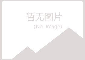 山东字迹会计有限公司